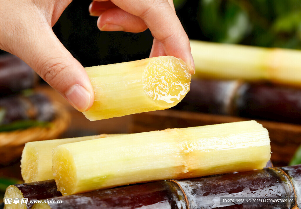 手拿甘蔗