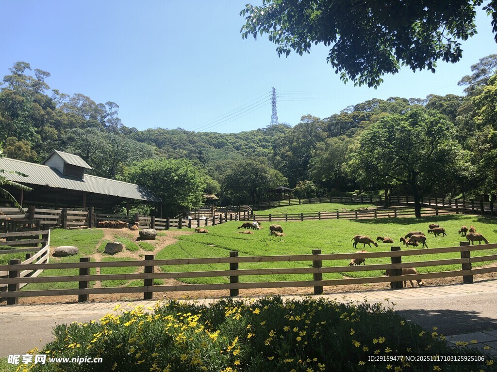 田园风光中的围栏与绿地