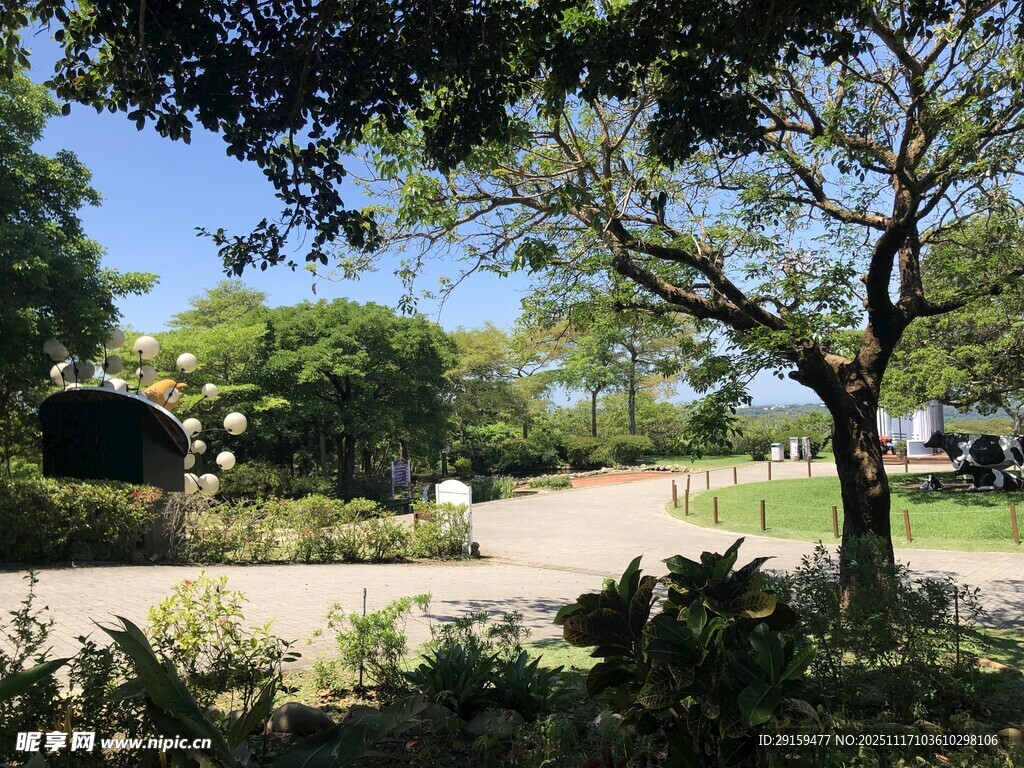 公园内的宁静自然景致