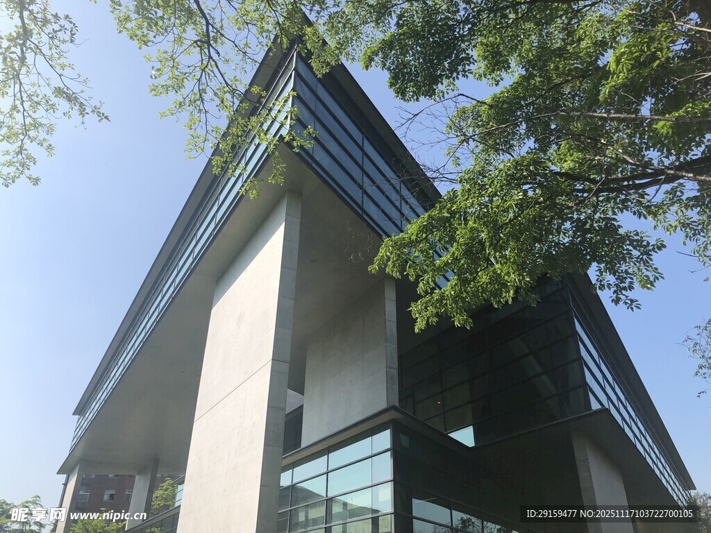 现代风格建筑与绿树相映