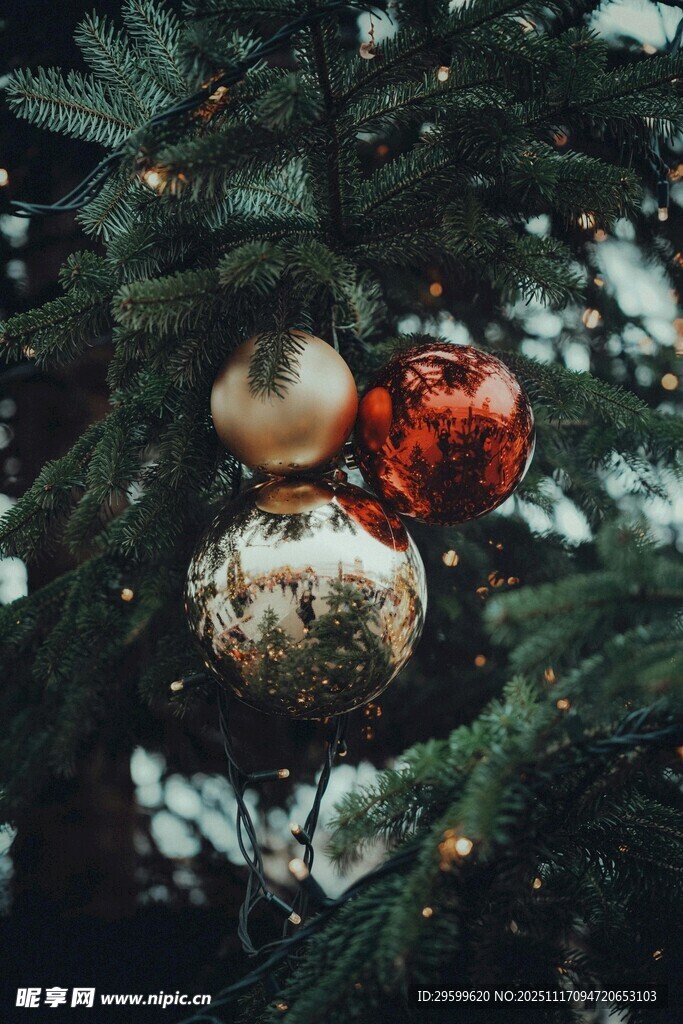 圣诞树上的精美装饰球