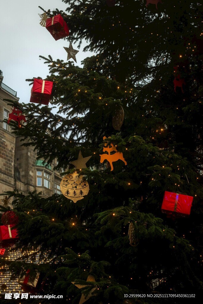 圣诞树上的装饰挂件