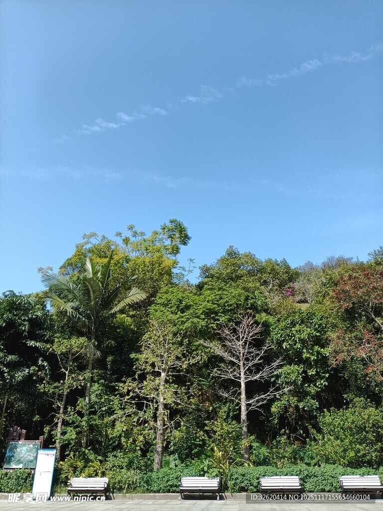 蓝天绿树旁的休闲长椅