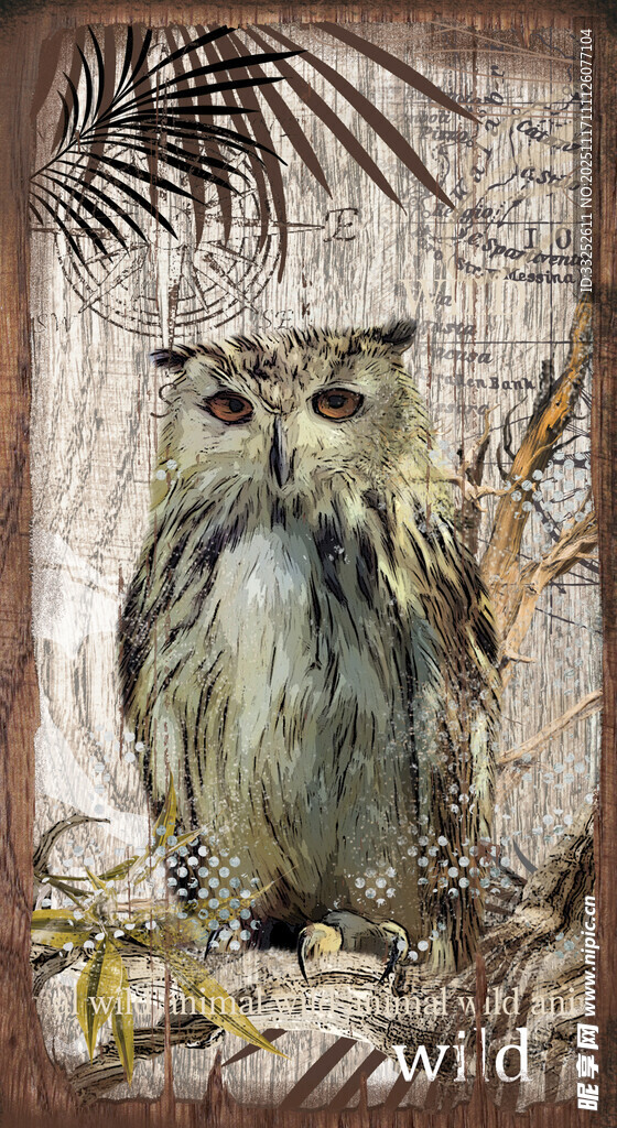 栖息于林间的猫头鹰