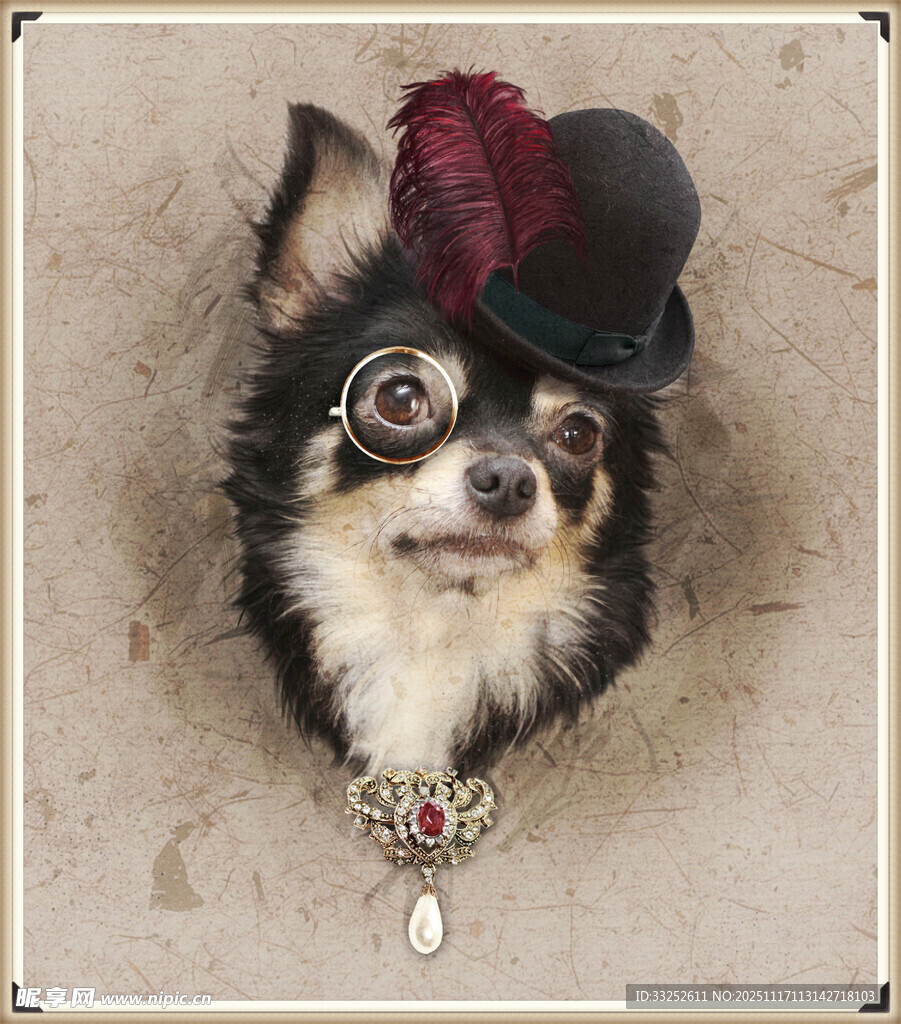 戴礼帽的萌趣吉娃娃