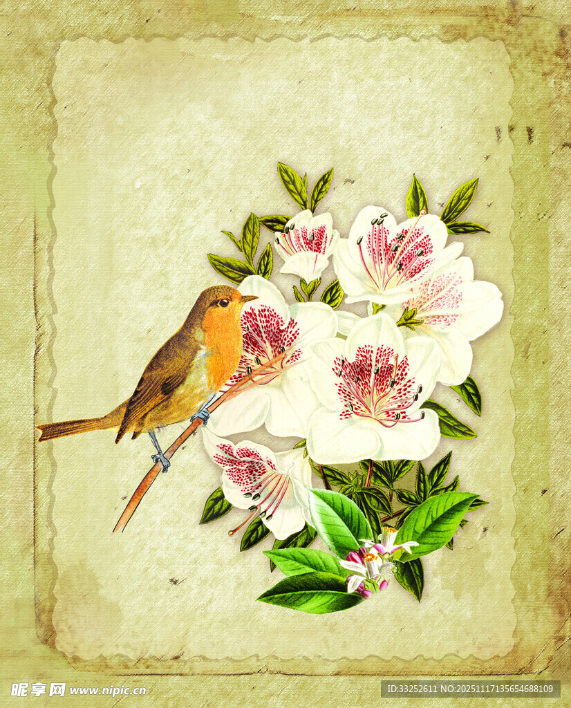 花鸟图绘 复古风艺术插画