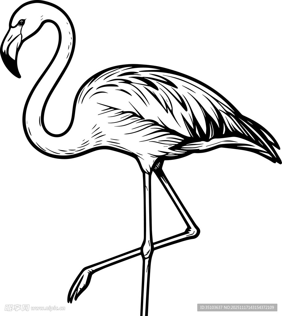 单腿站立的火烈鸟简笔画
