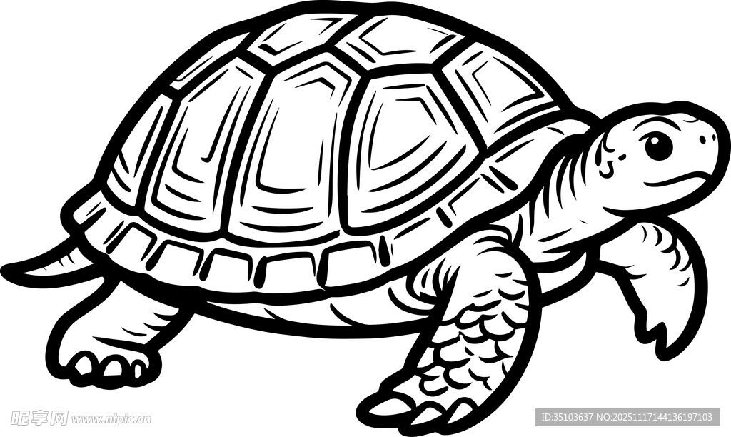 卡通乌龟简笔画
