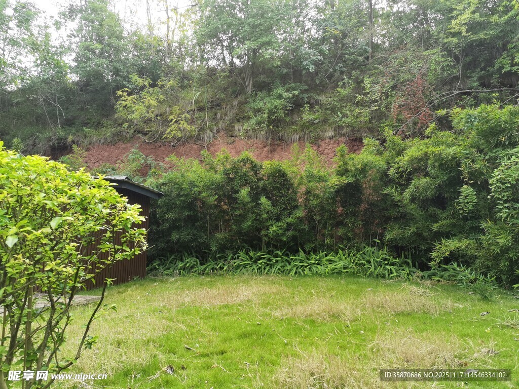 绿意盎然的户外庭院景观