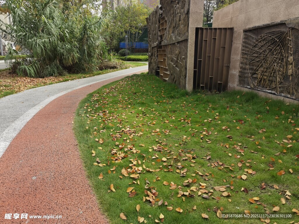 秋日蜿蜒小径旁的自然景致