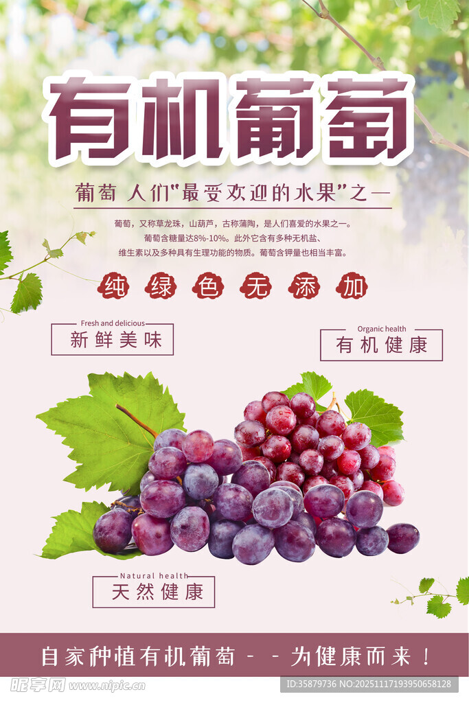 葡萄海报