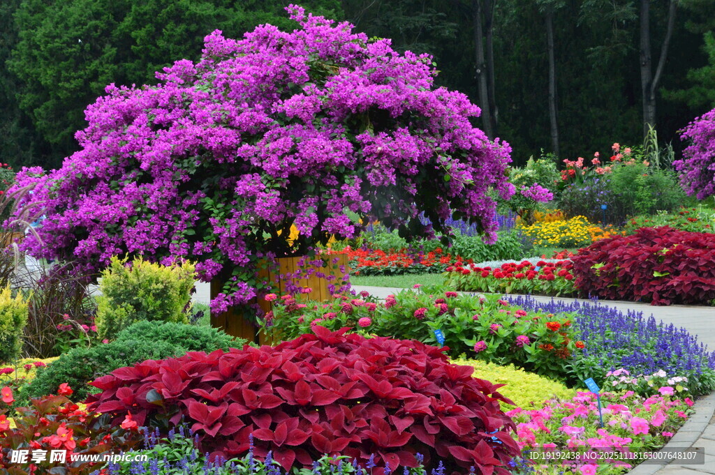 天坛花境风景  