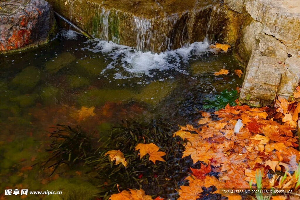 秋日溪边红叶与小瀑布
