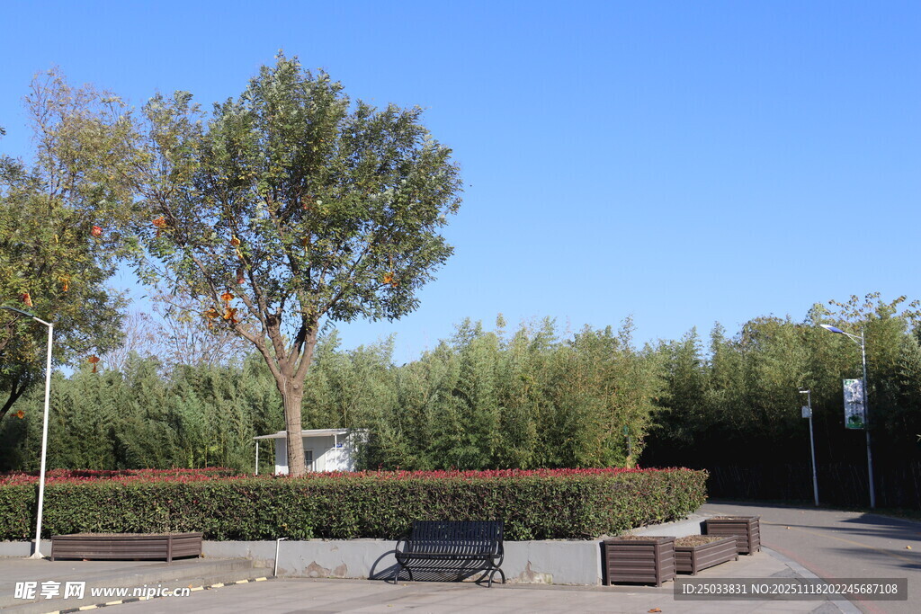 户外休闲广场景观