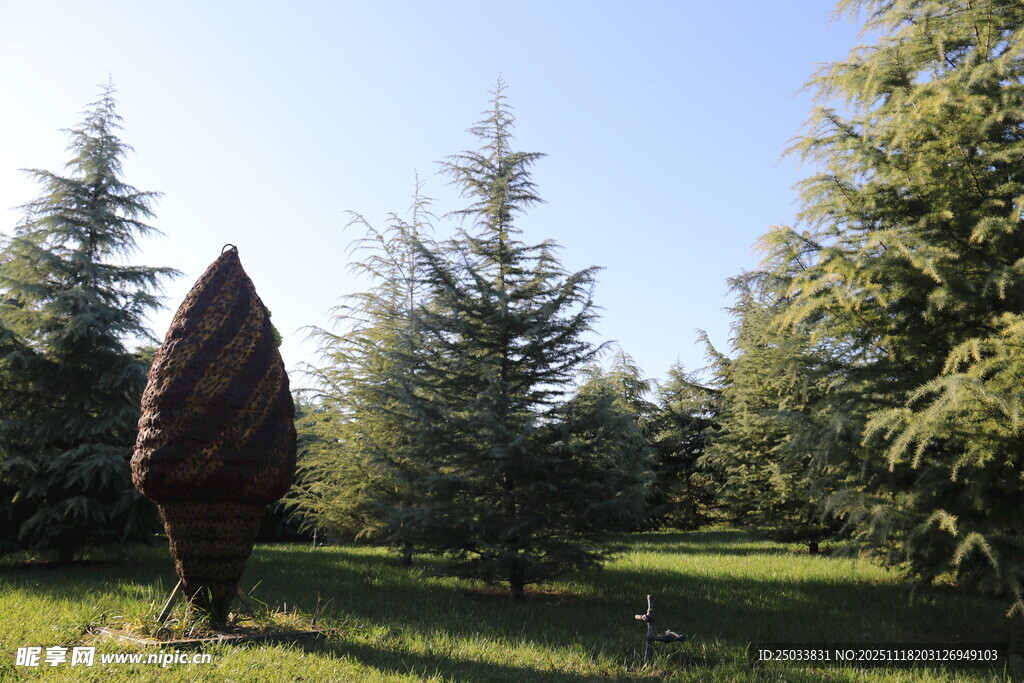 林中雕塑与挺拔树木景观