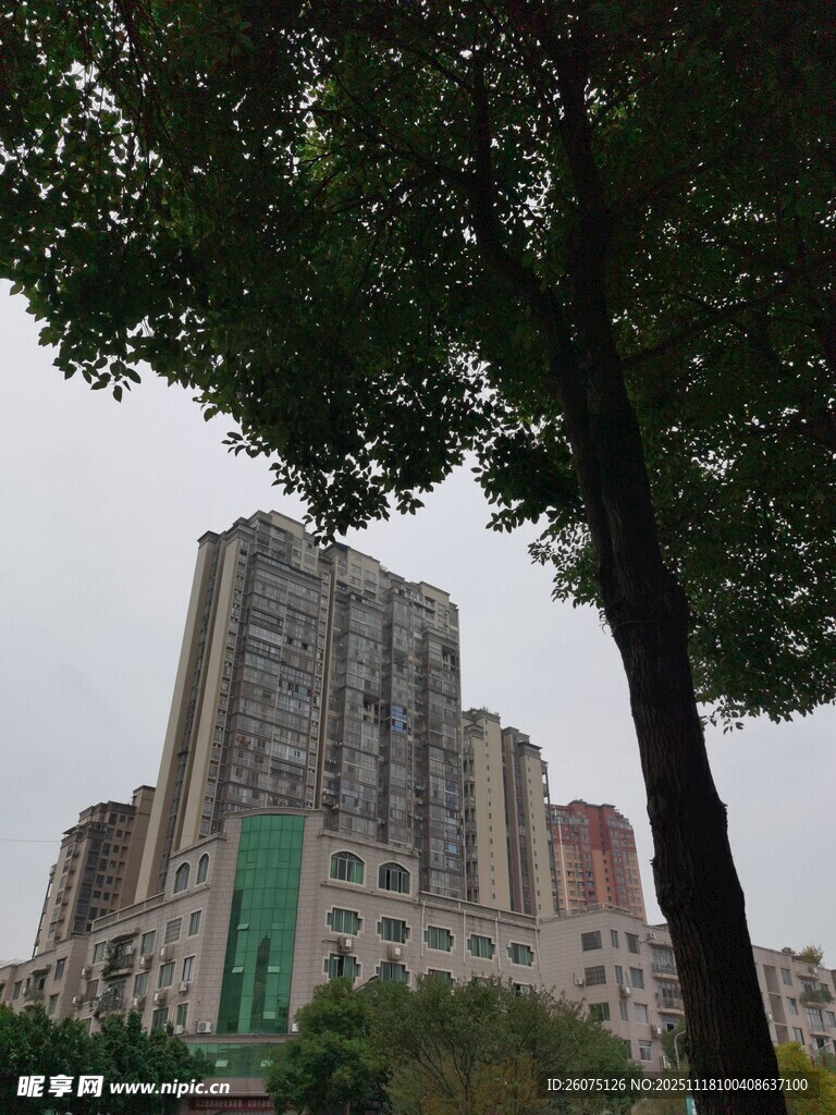 城市中林立的高层住宅楼