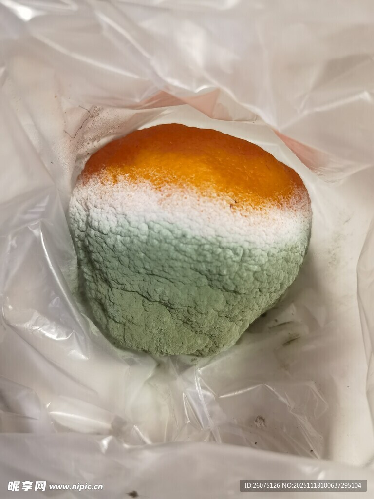 发霉的橘子