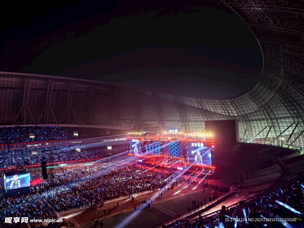 热闹的大型演唱会现场