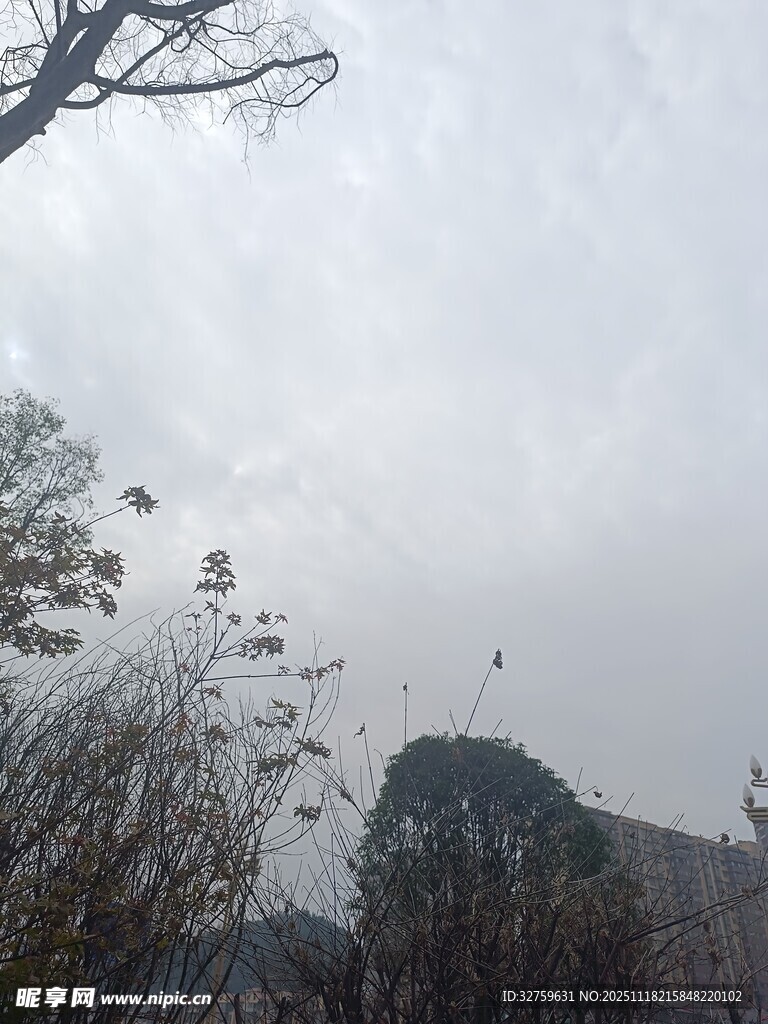 云雾缭绕山林景色