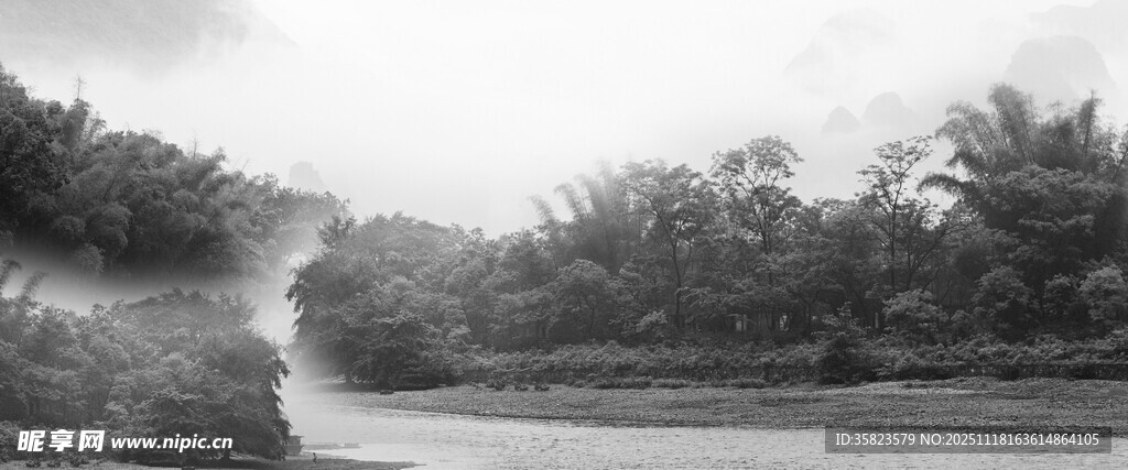 蜿蜒小路旁的茂密植被