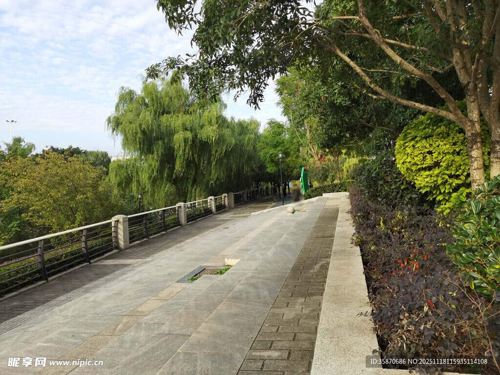 宁静林荫公路景观