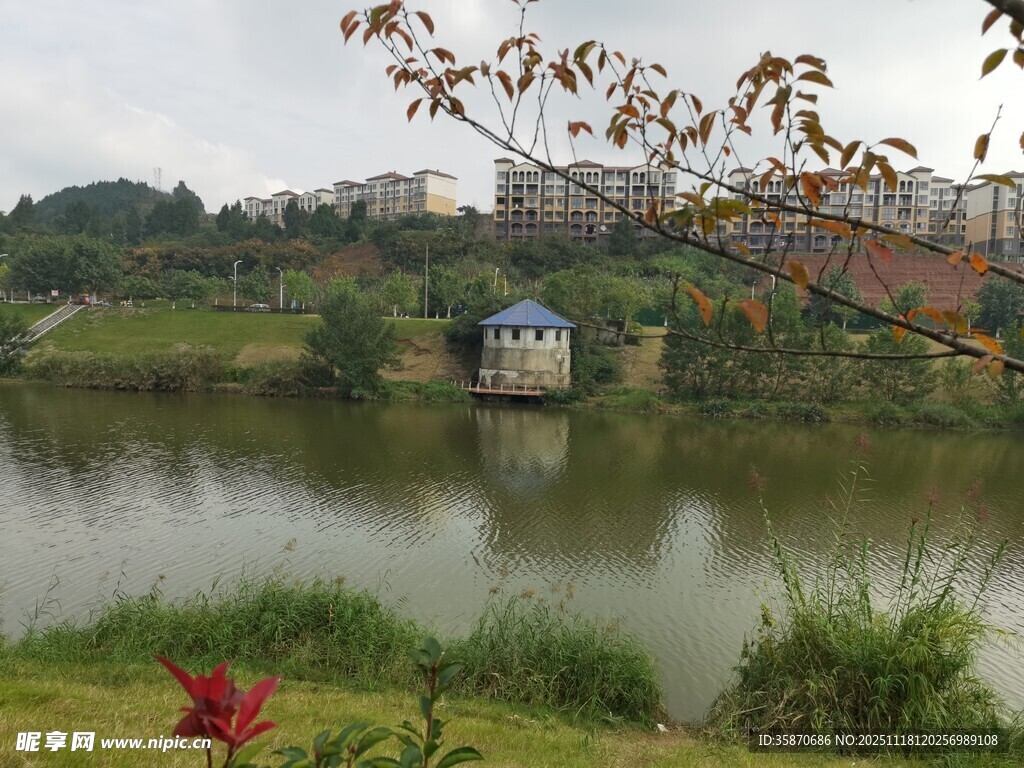 湖畔景致自然宁静之美