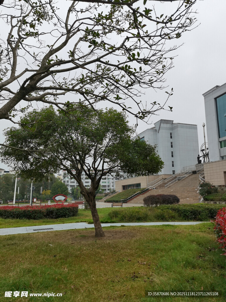 城市公园中的绿树与建筑