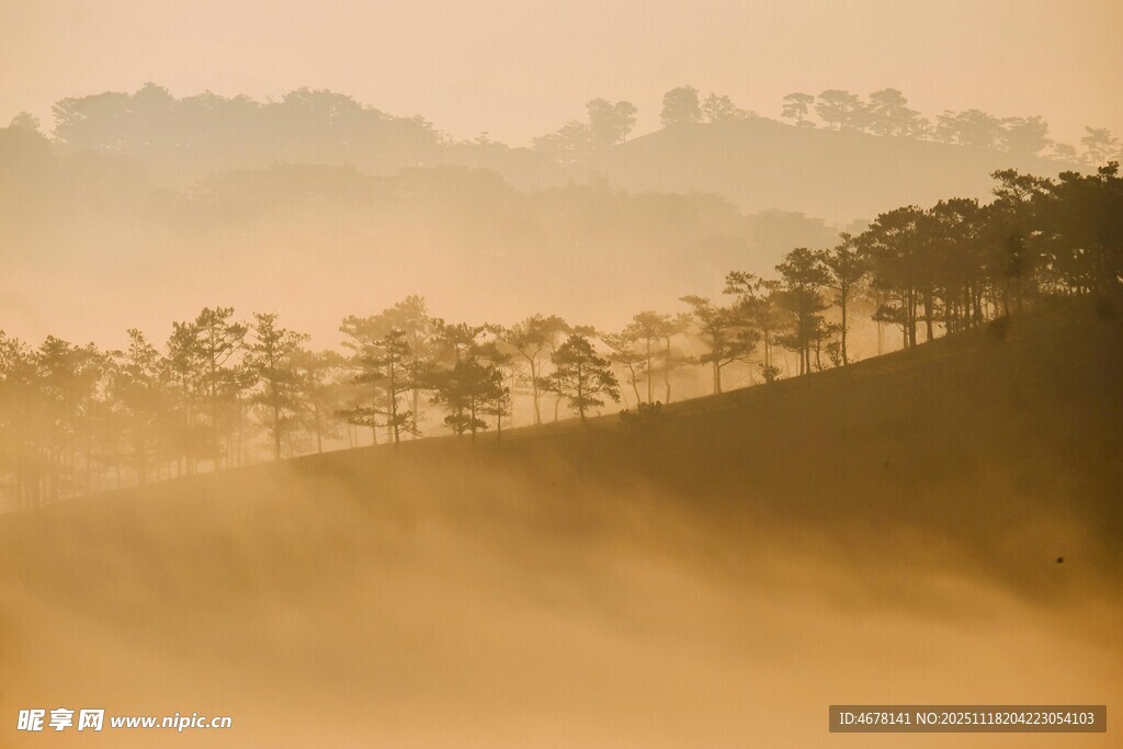 晨雾中的山林美景