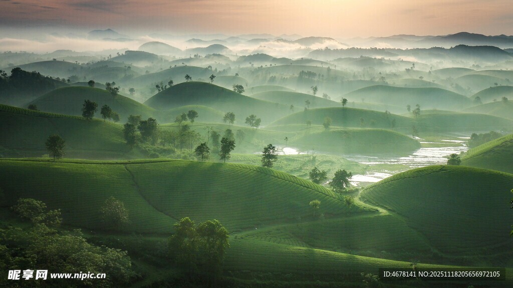 山间晨景绿意盎然的诗意画卷