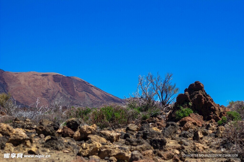 荒漠中的孤岩与稀疏植被