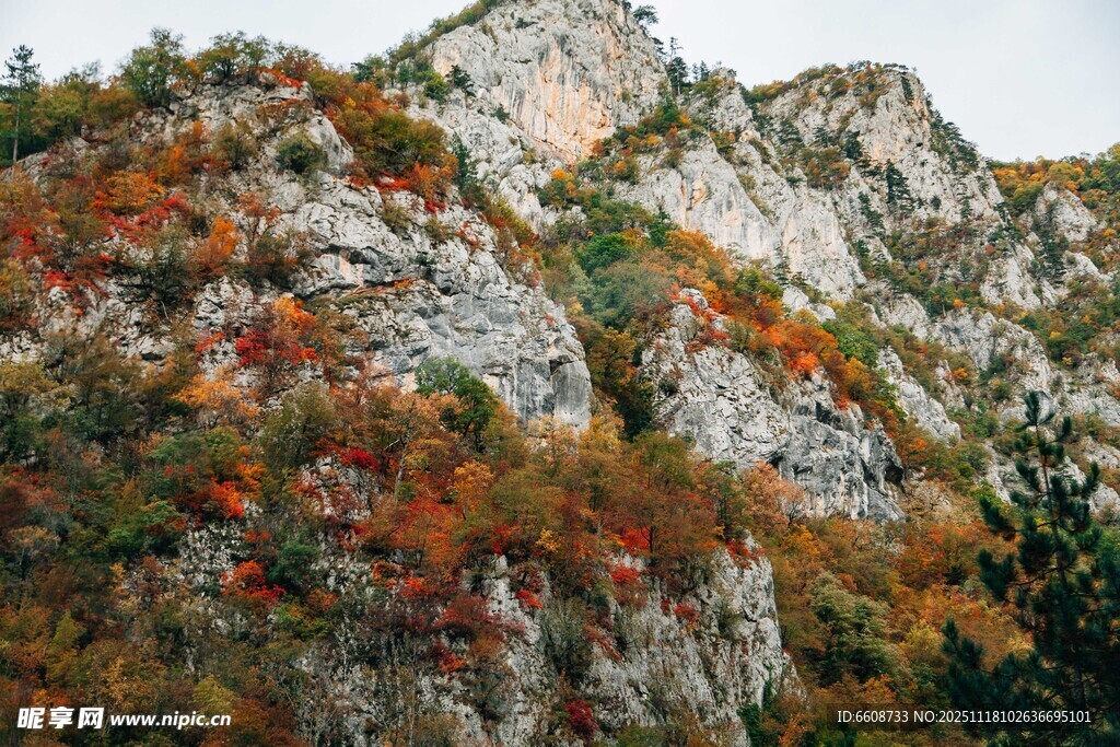 秋日山峦多彩植被覆岩壁
