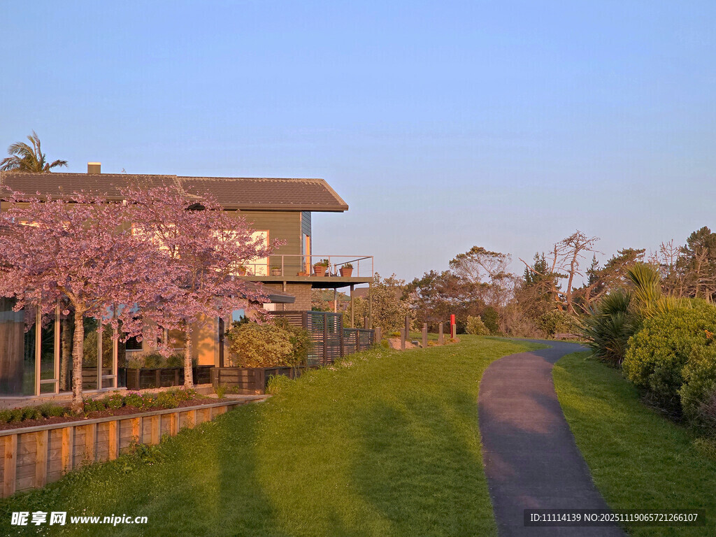 奥克兰海边小镇风景