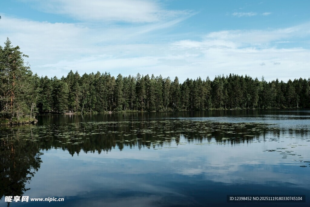 宁静湖畔森林倒影美景