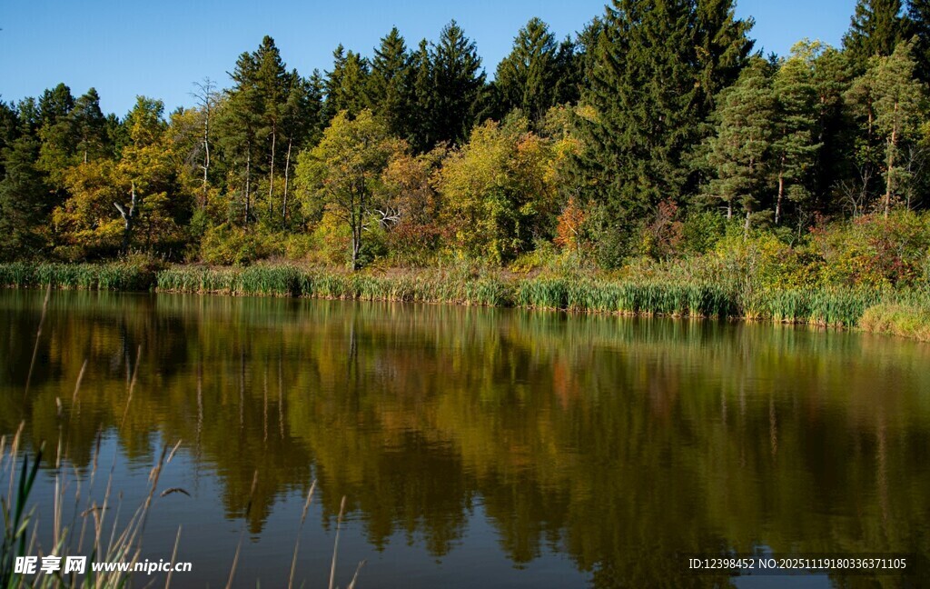 秋日静谧湖边风光