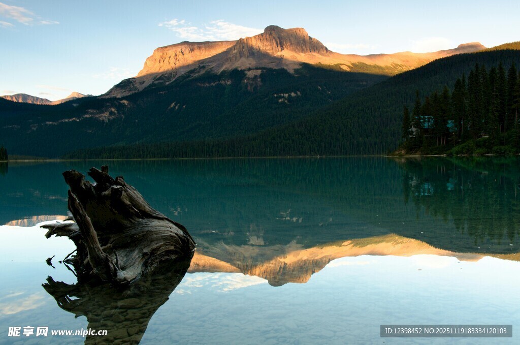 湖畔枯木映山景