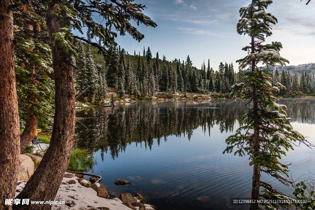 宁静湖畔森林美景