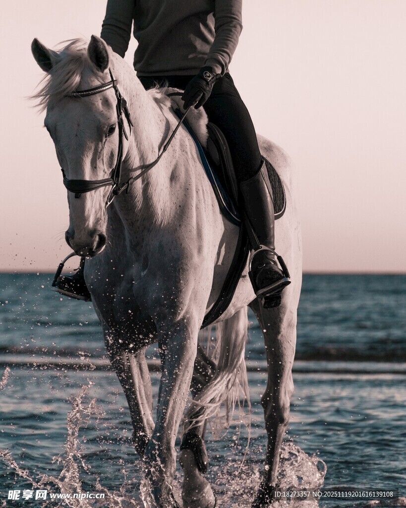 海边骑马英姿