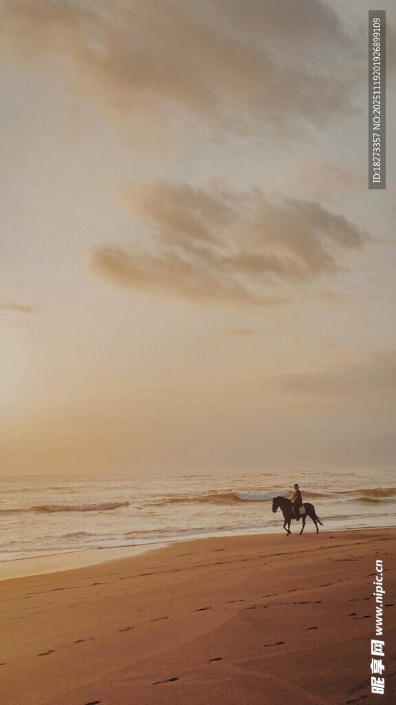 夕阳沙滩上的浪漫骑马时刻