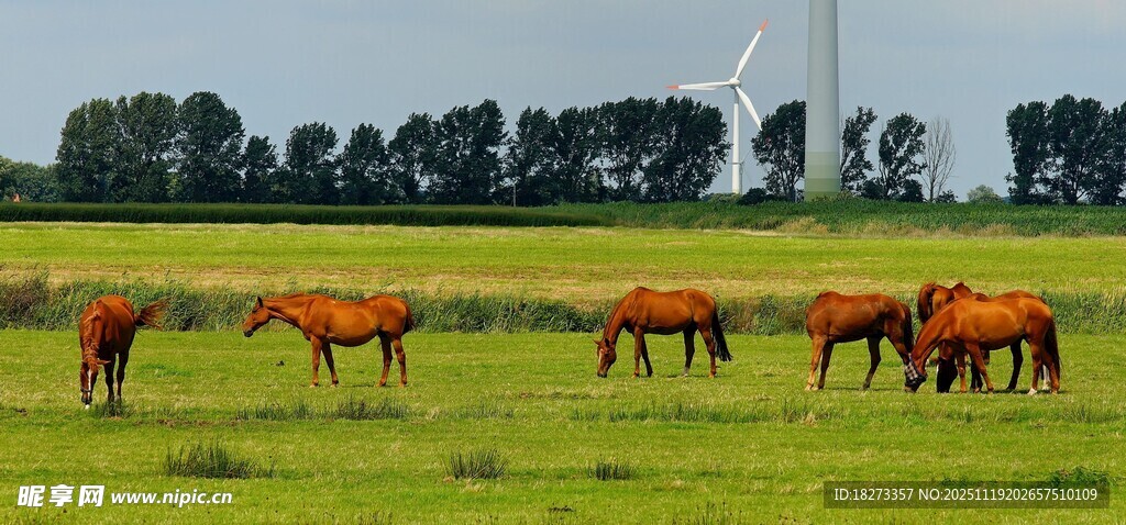 草原上的马群与风车景观