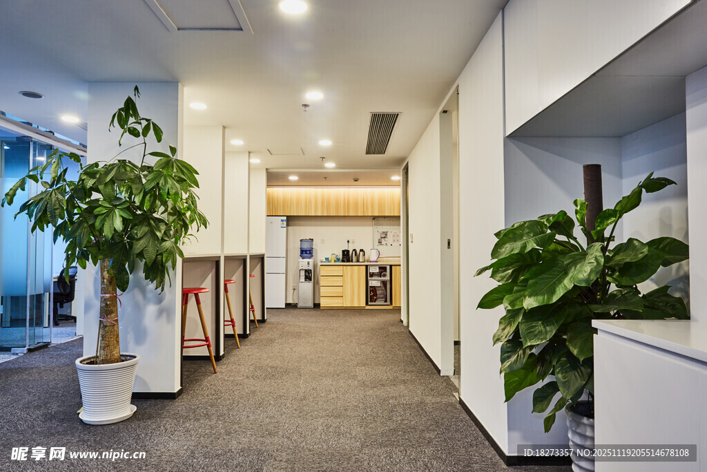 现代办公走廊绿植装饰