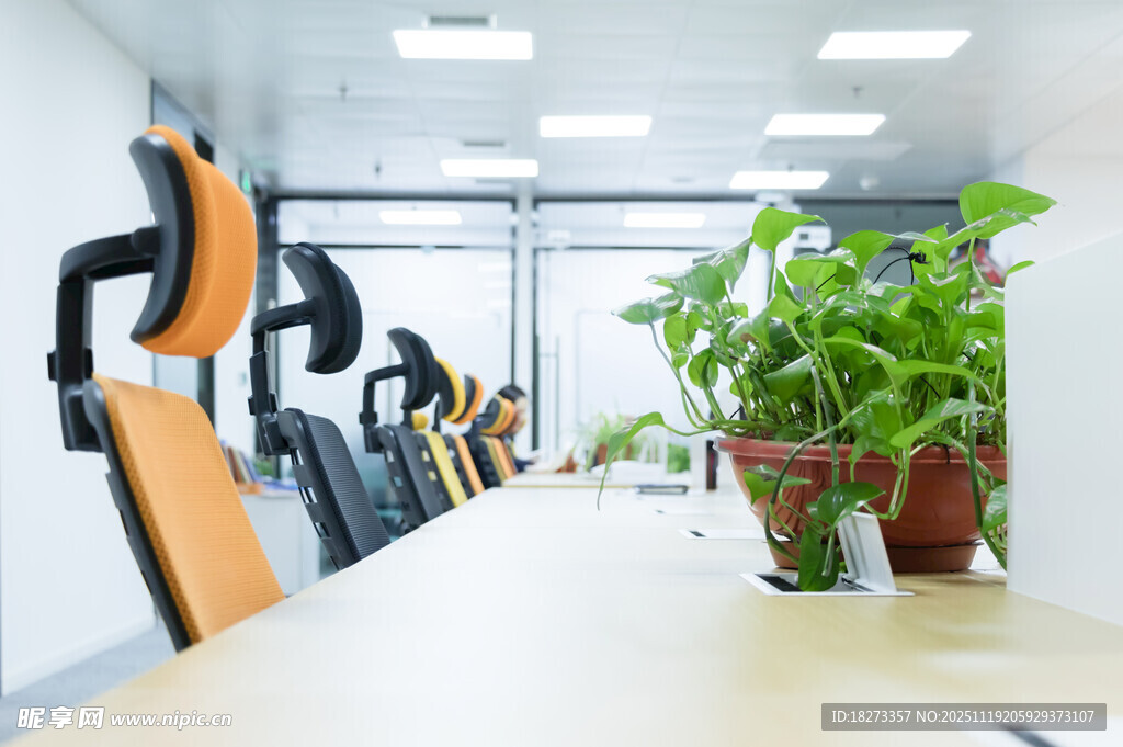 现代办公环境的整洁一角