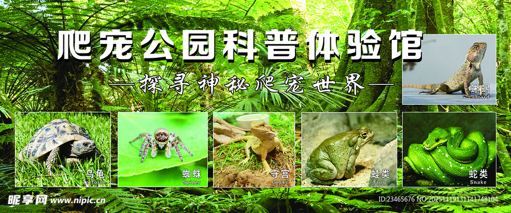 爬宠公园体验馆   