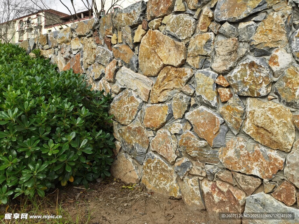 石砌围墙旁的翠绿灌木