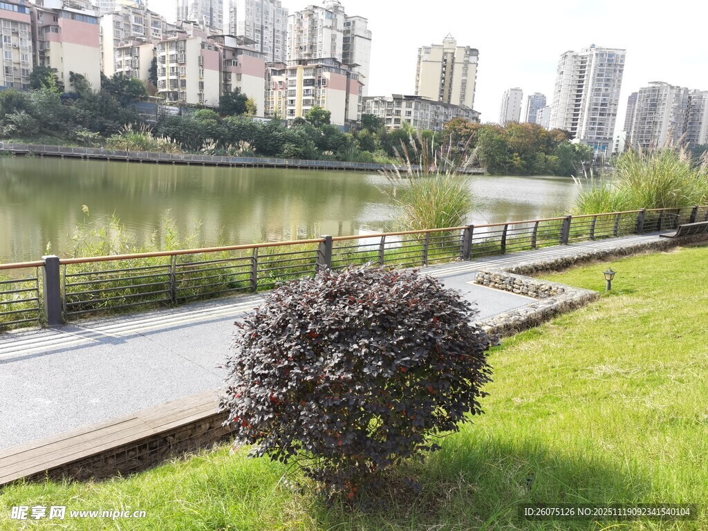 湖畔城市景观绿植相伴