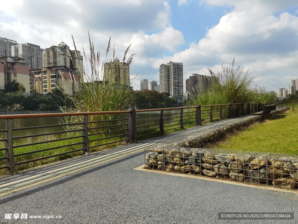 城市中的宁静河畔步道