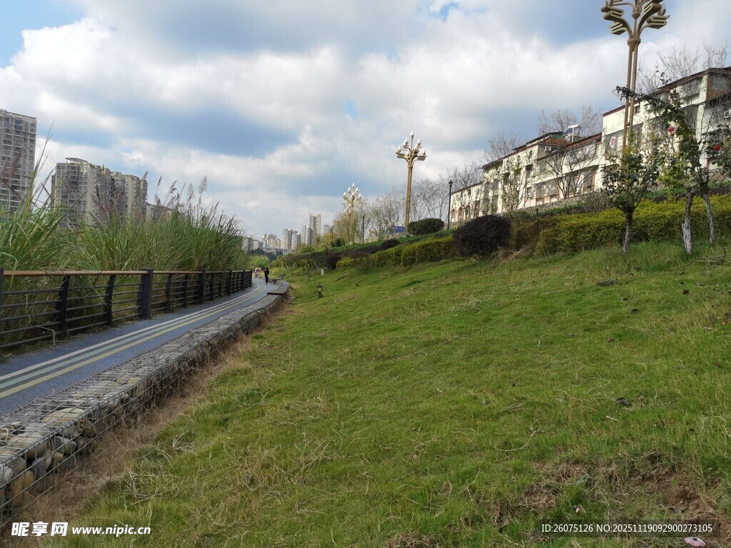 城郊道路旁的绿地与建筑