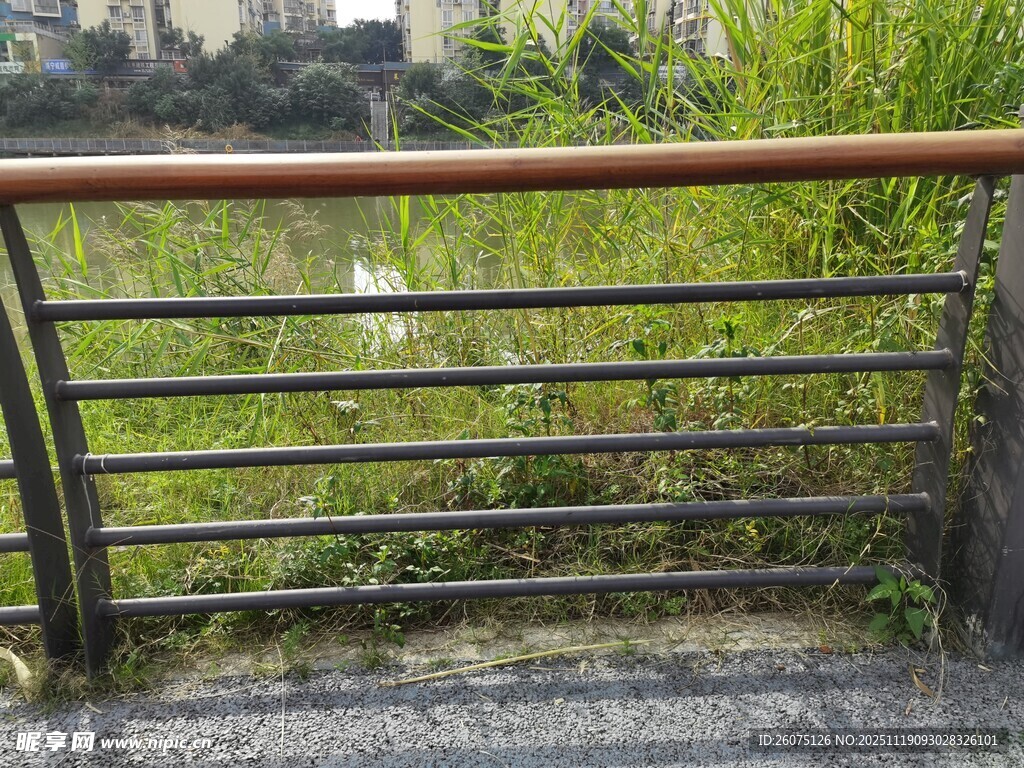 户外金属栏杆与绿植景观