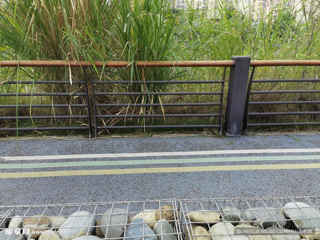 河边步道旁的护栏与绿植