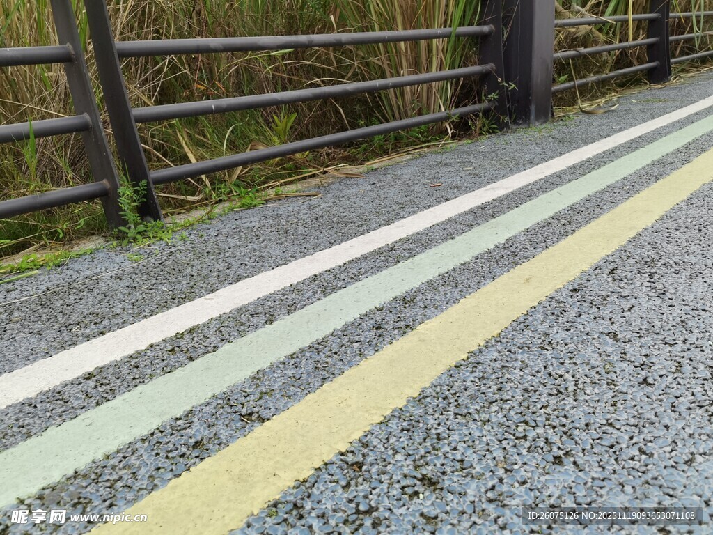 道路旁的多彩标线