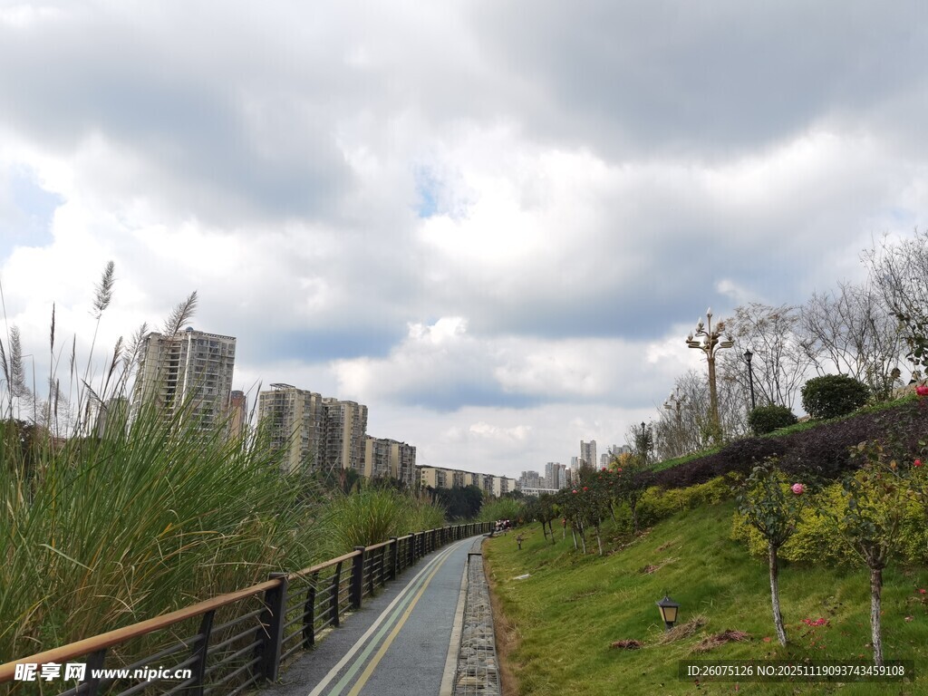 城市中蜿蜒的绿色骑行道